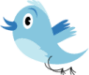 Twitter bird