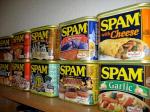 spam and guest bloggers