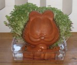 lesson learned from chia seeds