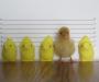 ode to peeps