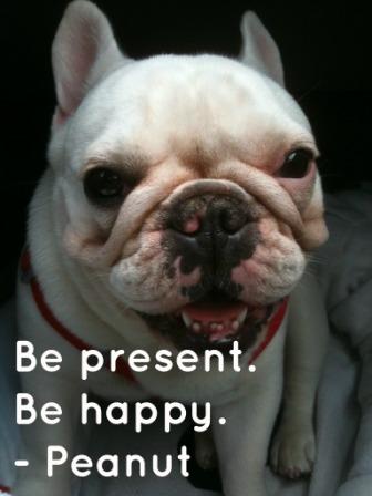 peanut jessica smith