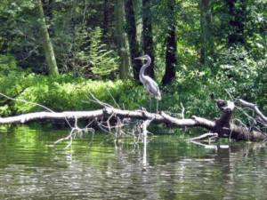 life lessons from kayaking