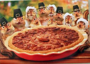 happy Thanksgiving happy thanksgiving