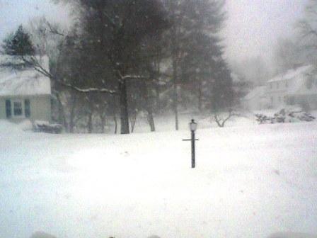blizzard front yard view