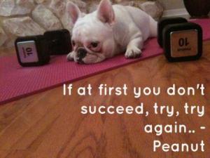 great marketing with jessica smith