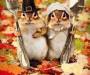 chipmunk thanksgiving