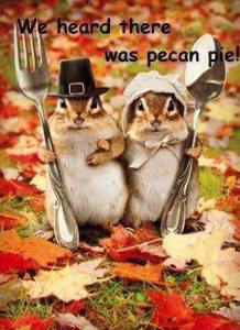 chipmunk thanksgiving