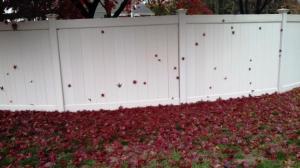 red leaves on white fence