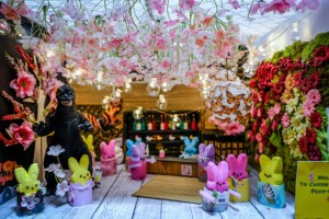 cherry blossum peep up bar