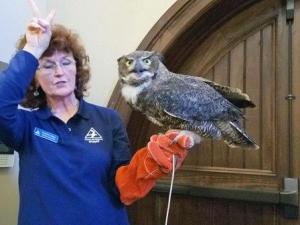 gigantic owl gigantic owl