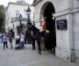 royal mews