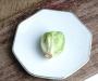 brussels sprout on plate