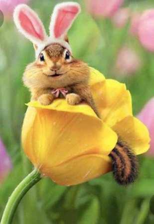 Easter chipmunk