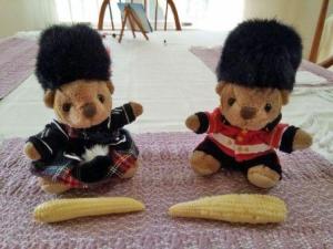 Sir Oliver and Sir Angus with corn