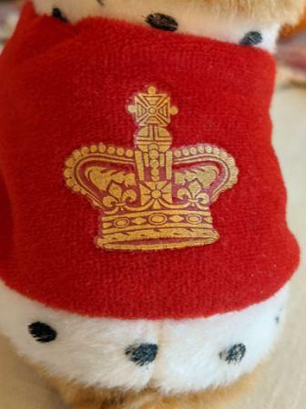 close up of toby coat