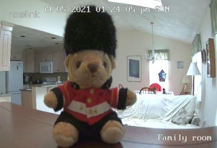sir oliver and security camera