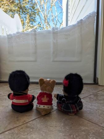 guys and the snow