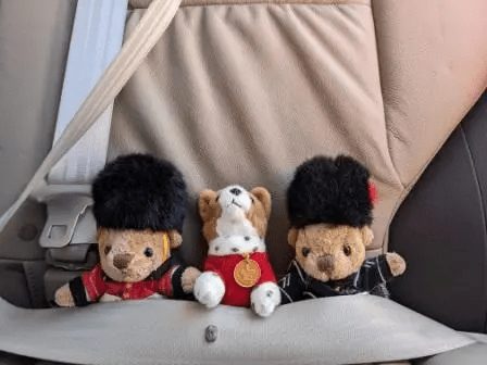 the guys ready for vermont the guys ready for vermont