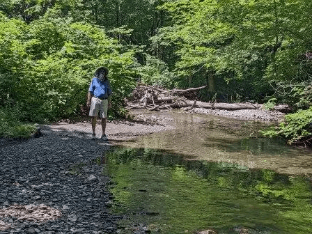 ken by dorset stream