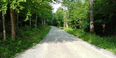 view from vermont country road