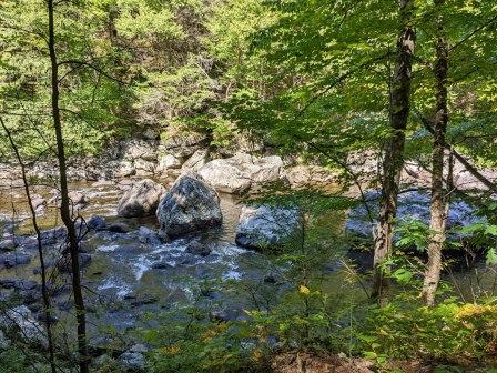 jamaica park dumplings
