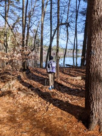 November hike November hike