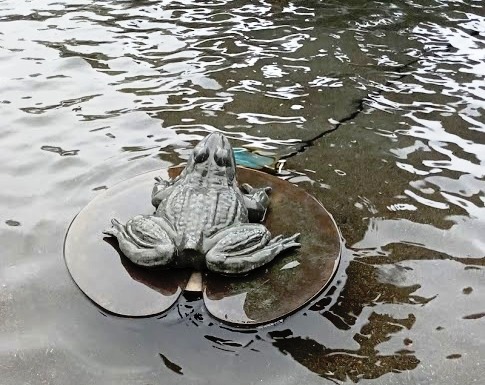 frog in fontaine de tourny frog in fontaine de tourny