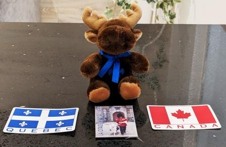 Bernard and the Citadel goat