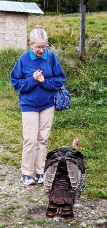 nancy and the big turkey nancy and the big turkey