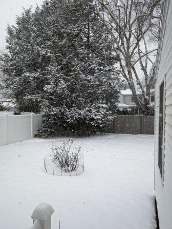 january snowstorm january snowstorm