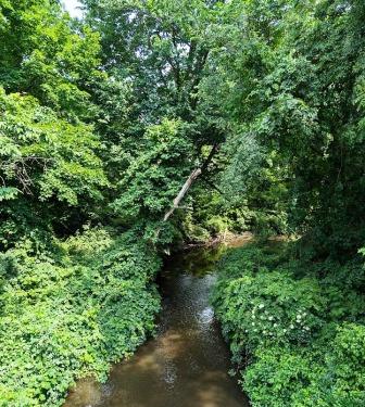 Mt. Holyoke College stream Mt. Holyoke College stream
