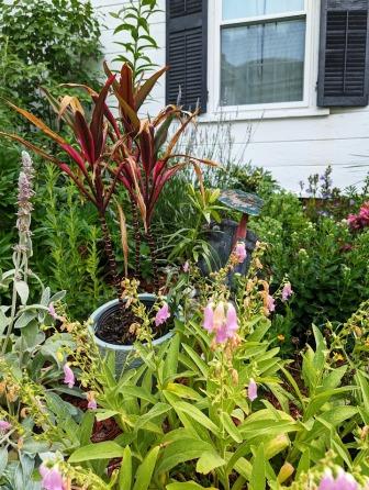 Northampton Airbnb garden