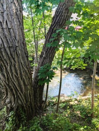 Vermont The Works view Vermont The Works view