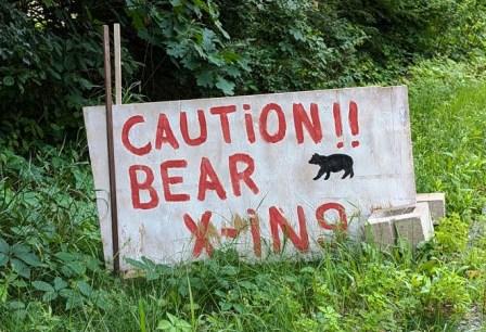 Vermont Cutler Park bear crossing