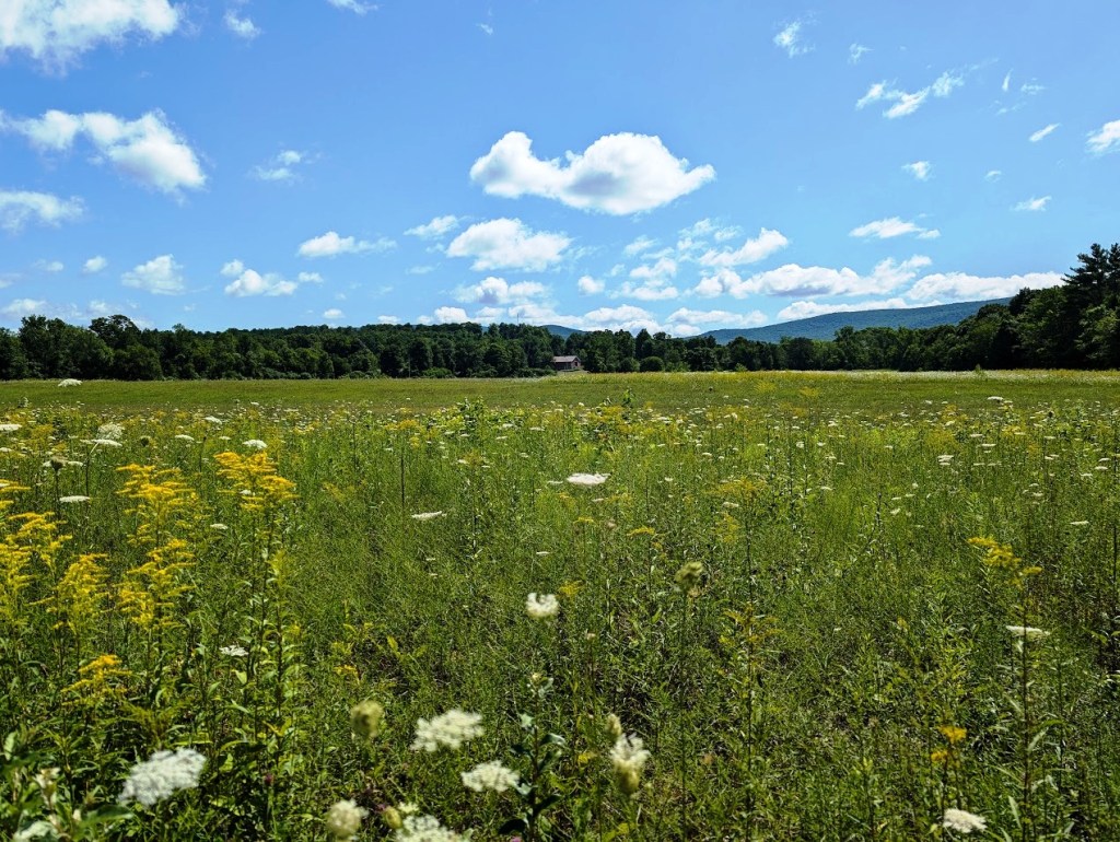 Vermont Manchester Depot trail