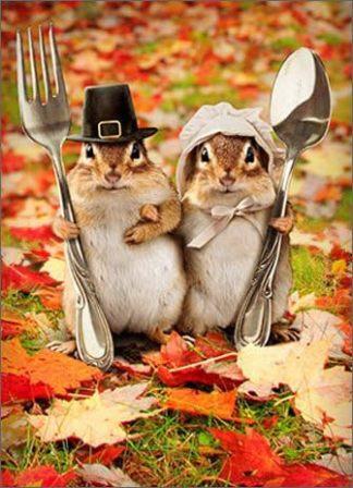 Chipmunk Thanksgiving