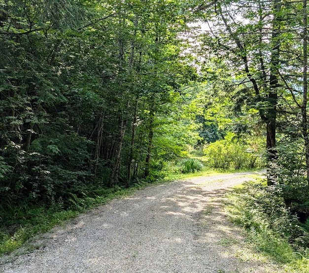 Vermont morning walk 2