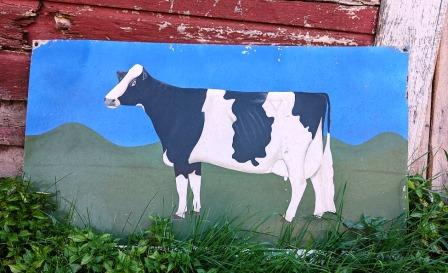 Vermont Pawlet Holstein Farm