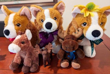 the morning welcome gang