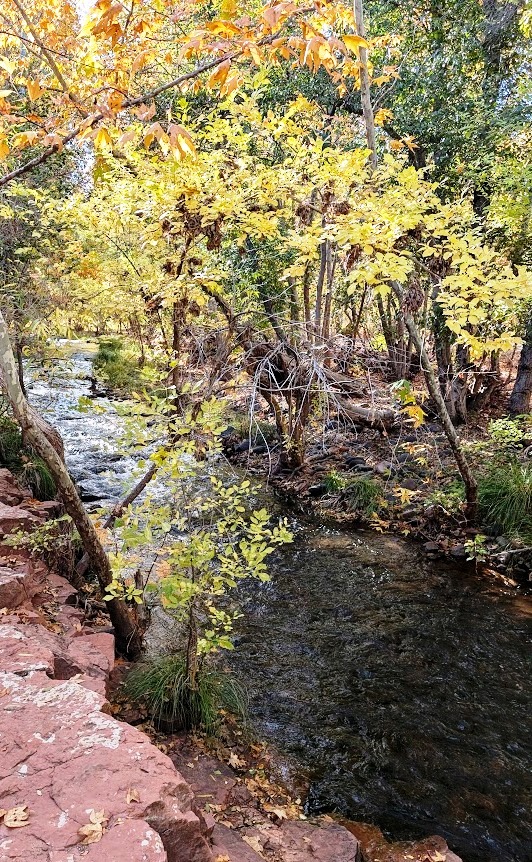 Sedona Red Rock State Park Oak Creek