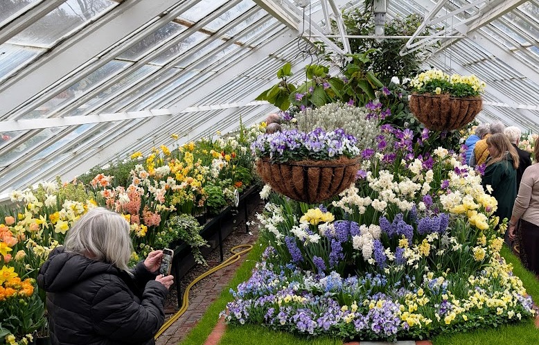 Talcott Greenhouse 1