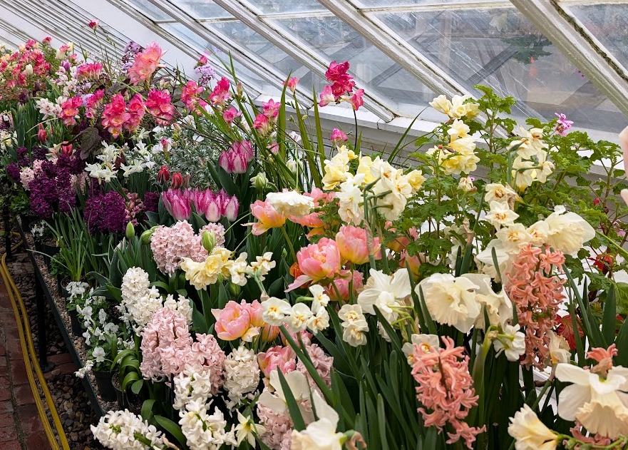 Talcott Greenhouse 2