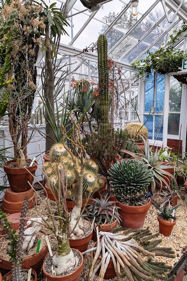 Talcott Greenhouse 5