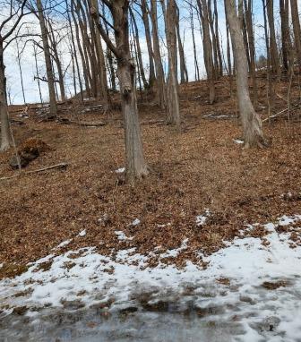 view from window at Willits-Hallowell view from window at Willits-Hallowell