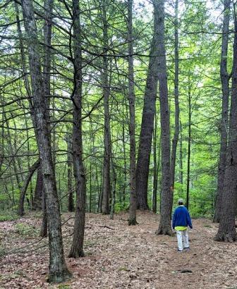 NOHO10 Roberts Hill View 1