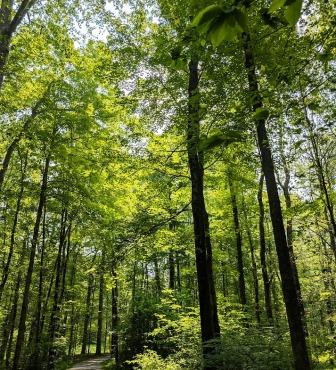 NJ02 - Loantaka Brook Reservation