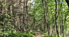 VT - West River Trail