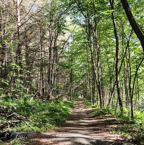 VT West River - View on the trail VT West River - View on the trail