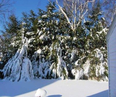 January Snow January Snow