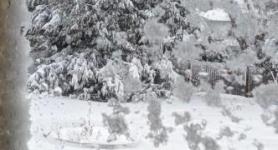 Blizzard of 2026 Backyard View